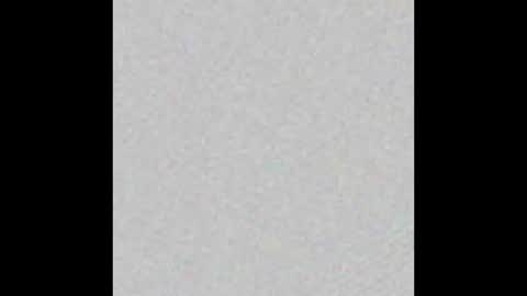 Arianna Collins online show from 14, 3, 2026