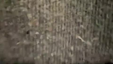 airskiii online show from 6, 1, 2025