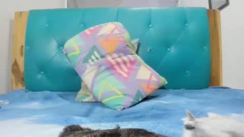 armanidark online show from 15, 9, 2025