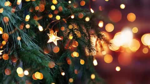 natra online show from 23, 12, 2024