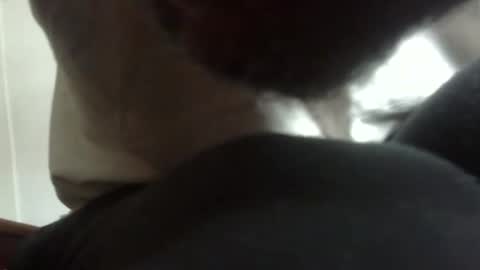 Snapshot of arteblazze chatting on 9, 2, 2026 Arteblazze not daddy boy bitch or nigga online show from 9, 2, 2026