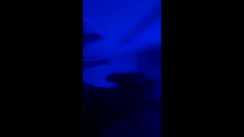 ashcashkittykat online show from 1, 3, 2026