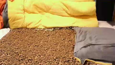 Snapshot of ashlery_ chatting on 17, 11, 2025 ashlery online show from 17, 11, 2025