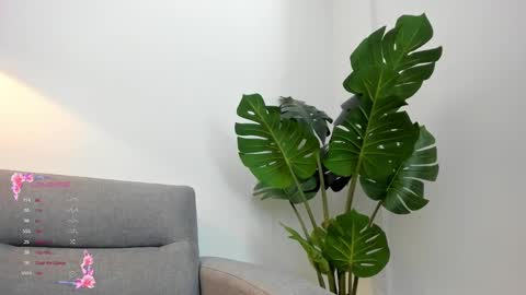 ashllovee online show from 23, 1, 2025