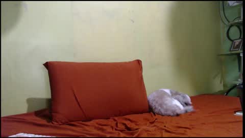 Mhay online show from 26, 9, 2025