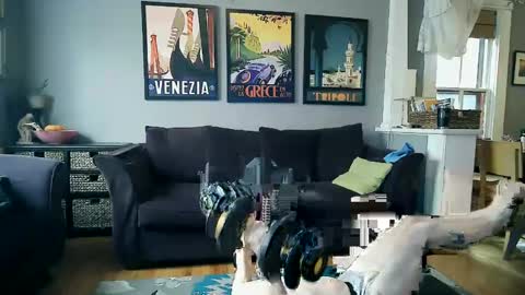 Snapshot of assmaster_6100 chatting on 11, 2, 2025 assmaster_6100 online show from 11, 2, 2025