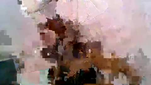 aurelia107 online show from 31, 5, 2026