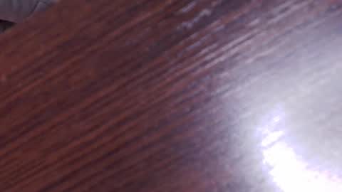 Snapshot of auroradiaz_ chatting on 8, 2, 2025 Aurora Diaz online show from 8, 2, 2025