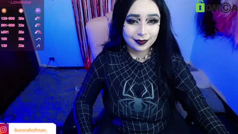 Snapshot of aurorahoffman chatting on 4, 12, 2024 Aurora online show from 4, 12, 2024