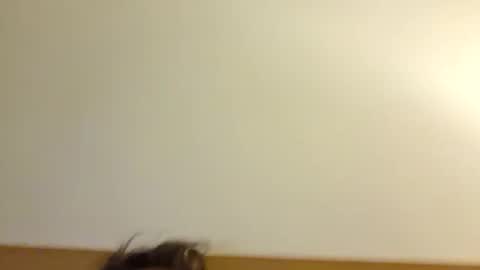 Snapshot of aussie_dadbod6969 chatting on 3, 5, 2026 aussie_dadbod6969 online show from 3, 5, 2026