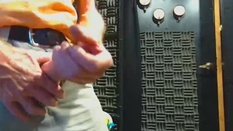 Snapshot of aussieraz chatting on 4, 11, 2025 aussieraz online show from 4, 11, 2025