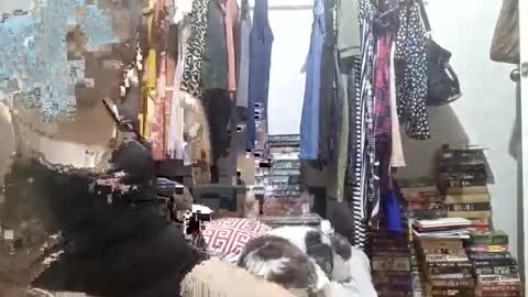 Snapshot of babe4u1234 chatting on 3, 12, 2024 babe4u1234 online show from 3, 12, 2024