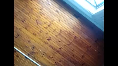 Baby  P online show from 26, 2, 2026