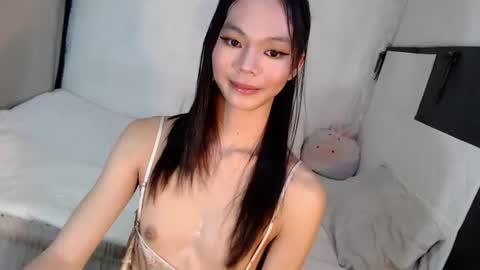 MIKAY HADID online show from 12, 6, 2026