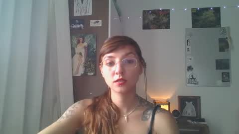 babydemon6 online show from 23, 12, 2024