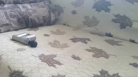 Snapshot of babymom1 chatting on 9, 3, 2025 babymom1 online show from 9, 3, 2025