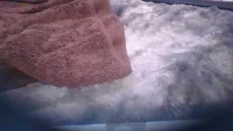 bacchusexx15 online show from 30, 3, 2026