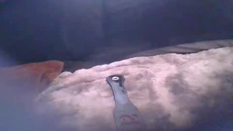 bacchusexx15 online show from 17, 4, 2026