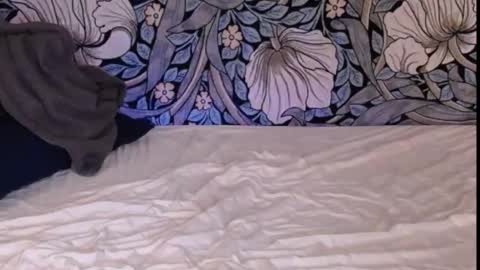 Snapshot of backtatava chatting on 30, 9, 2025 Ava online show from 30, 9, 2025