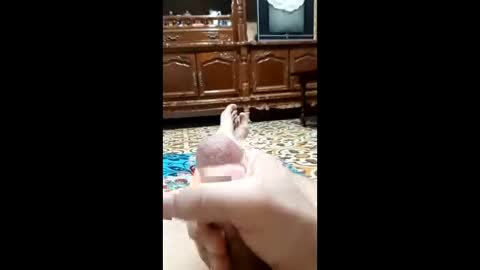 Snapshot of bahaa5555 chatting on 12, 2, 2026 bahaa5555 online show from 12, 2, 2026