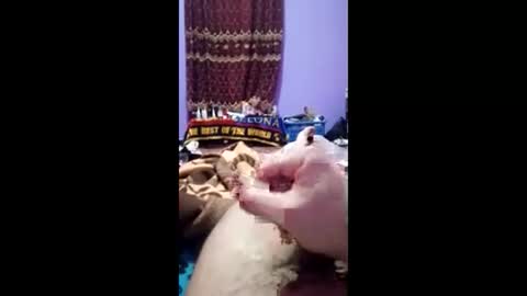 Snapshot of bahaa5555 chatting on 1, 3, 2026 bahaa5555 online show from 1, 3, 2026