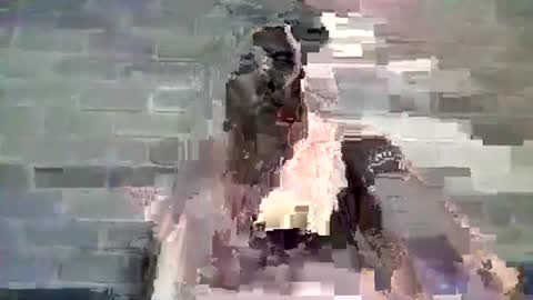 Snapshot of baielekker81578 chatting on 10, 1, 2025 Chaterlain online show from 10, 1, 2025