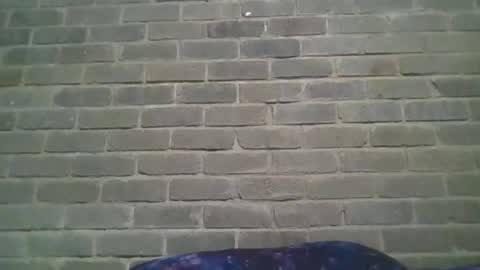 Snapshot of baielekker81578 chatting on 19, 1, 2025 Chaterlain online show from 19, 1, 2025