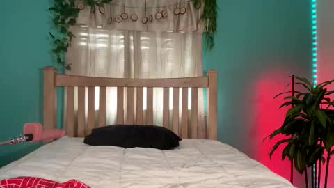 Snapshot of bailijade chatting on 9, 9, 2025 My name  BailiJade   online show from 9, 9, 2025