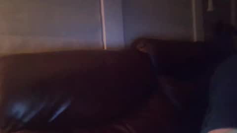 bake66999 online show from 5, 2, 2026