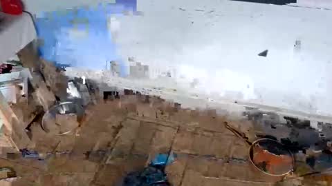 ballshanginglowaf online show from 1, 2, 2026