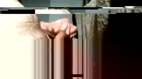 balthazar7676 online show from 3, 1, 2025