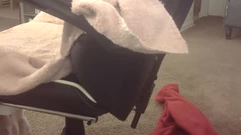 b online show from 18, 3, 2026