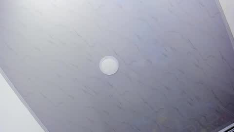 Barbara online show from 11, 2, 2025