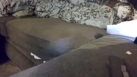 barrett4200 online show from 20, 1, 2025