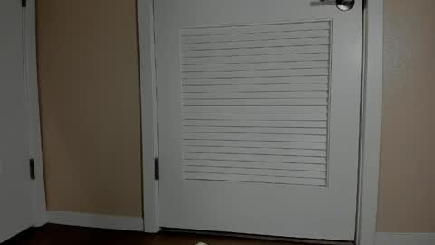 Emi online show from 16, 4, 2026