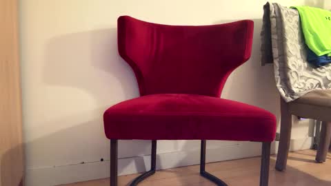 Snapshot of batestallion9x6 chatting on 19, 1, 2026 Batestallion9x6 online show from 19, 1, 2026