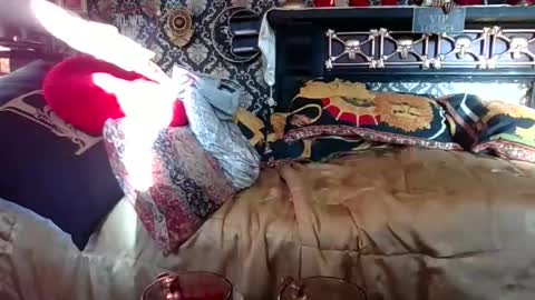 Snapshot of bazzasworld chatting on 1, 11, 2025 Bazza online show from 1, 11, 2025