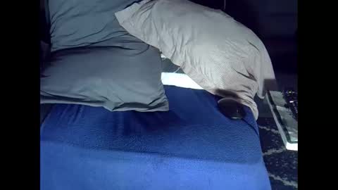 bbc_highness online show from 4, 10, 2025