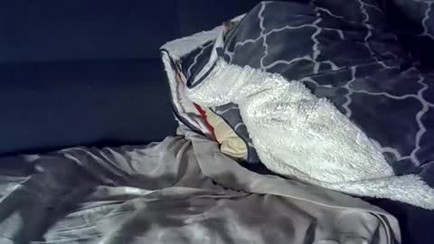 bbc_highness online show from 29, 3, 2026