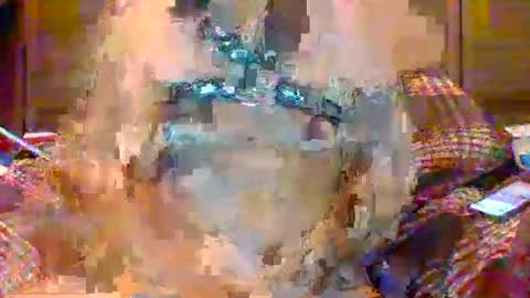 NSAPiigForBreeding online show from 22, 4, 2026