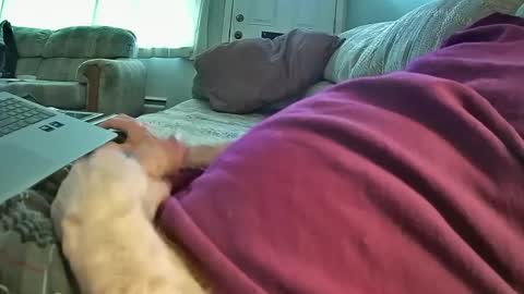 Snapshot of bcema2 chatting on 8, 1, 2025 bcema2 online show from 8, 1, 2025