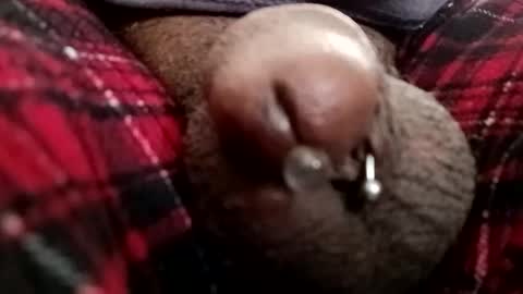 Snapshot of bcfalcon69 chatting on 23, 2, 2026 bcfalcon69 online show from 23, 2, 2026