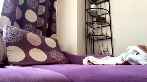 bdrvmark21 online show from 11, 4, 2026