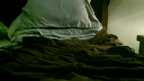 Snapshot of beagle1 chatting on 21, 12, 2024 beagle1 online show from 21, 12, 2024