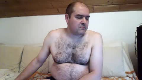 bear037 online show from 26, 12, 2024