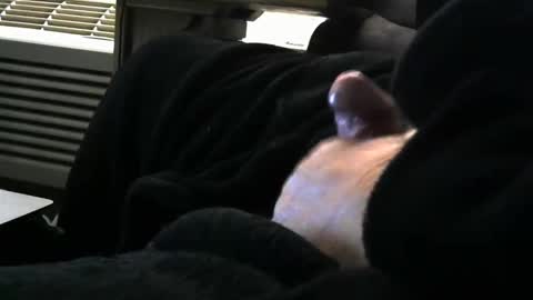 bear4146 online show from 29, 3, 2026