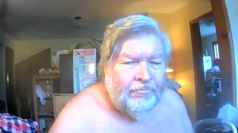 bear online show from 13, 6, 2026