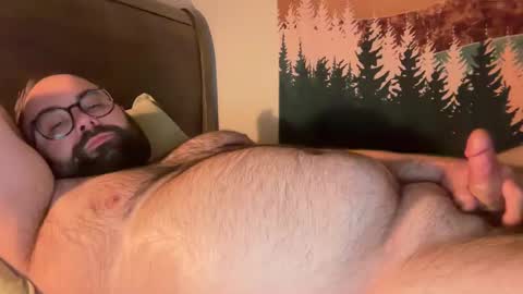 bear_country online show from 25, 2, 2025