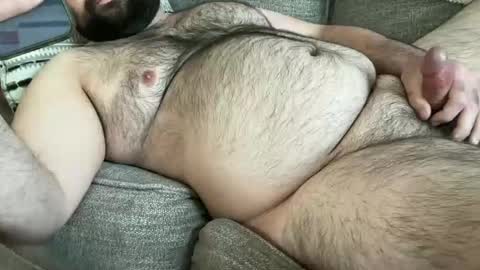 bear_country online show from 12, 3, 2025