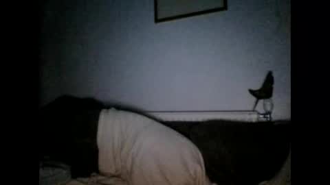 Snapshot of beatlebut chatting on 1, 10, 2025 beatlebut online show from 1, 10, 2025